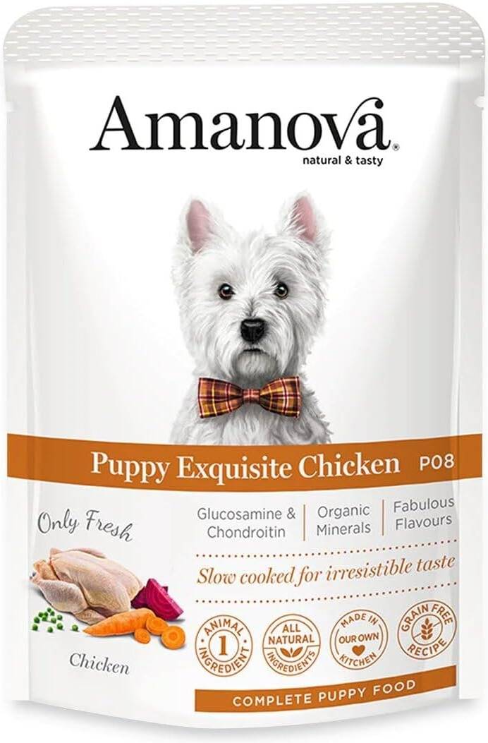 Amanova Wet Puppy Exquisite Chicken - 100g - Amanova - Kuwait