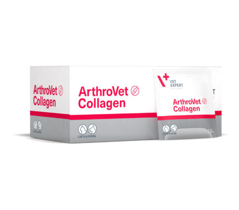 ARTHROVET COLLAGEN 1 sachet - ARTHROVET - Kuwait