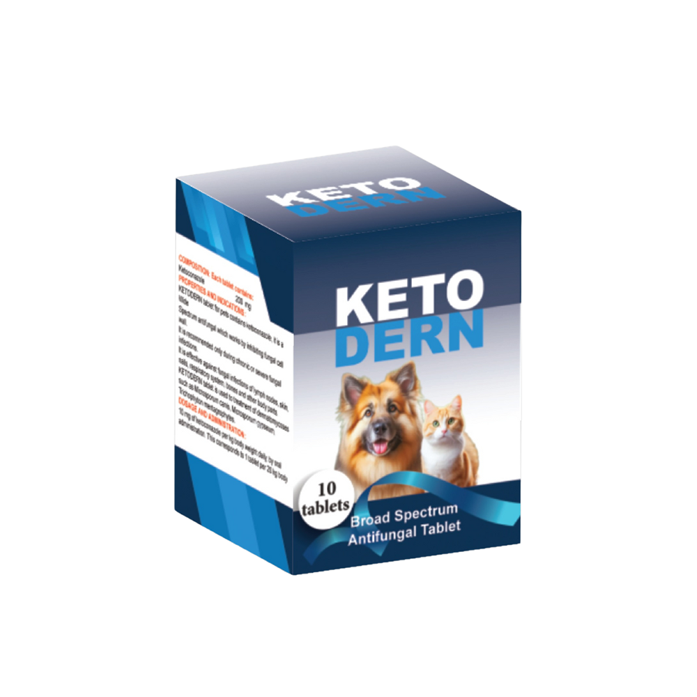 Ketodern – Ketoconazole Bottle 10 Tablets - Ketodern - Kuwait