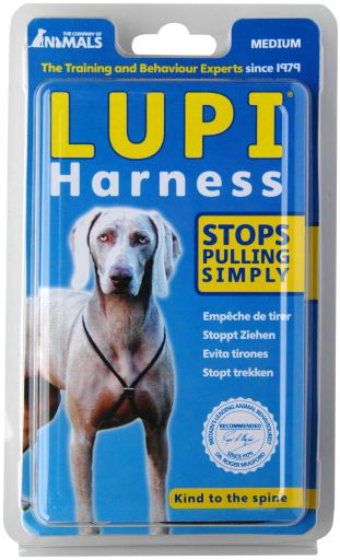 Lupi Training Harness Medium - Lupi - Kuwait