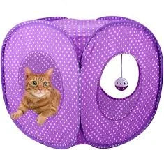 Cat Cube Purple Cave