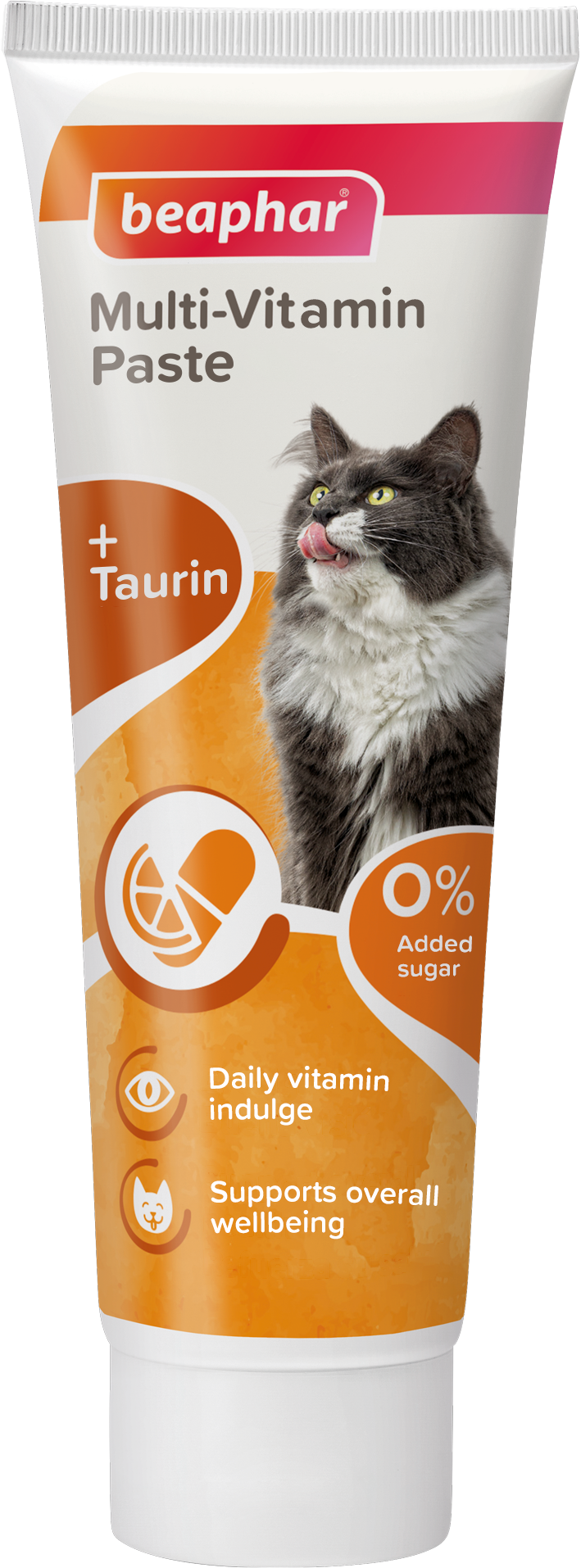 Multi Vitamin Paste Cat 100 g