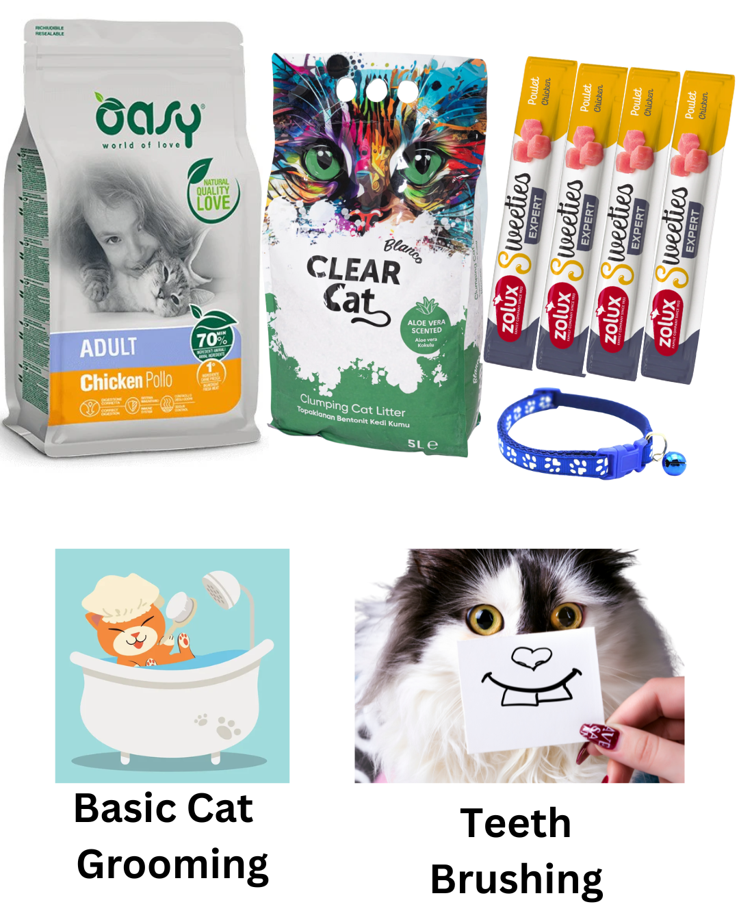 Cat Essentials Package