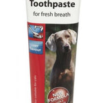 Toothpaste 100 g