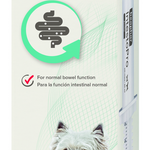 IntestoPro Anti Diarrhea Paste Syringe Small Dog & Cat 20 ml