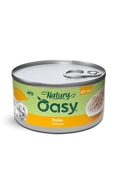 Oasy -NATURY Chicken Soft Jelly 150g