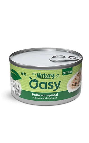 Oasy -NATURY Chicken with spinach Soft Jelly 150g
