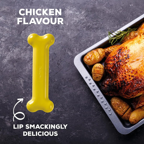 TastyBone Nylon Toy for Large Dogs, Chicken Flavor