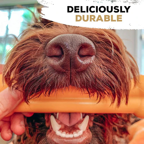 TastyBone Nylon Toy for Large Dogs, Chicken Flavor