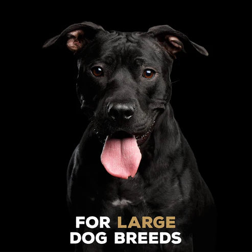 TastyBone Nylon Toy for Large Dogs, Chicken Flavor