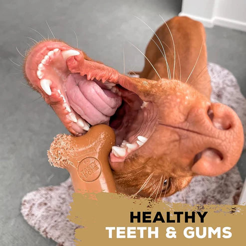 TastyBone Nylon Toy for Large Dogs, Chicken Flavor