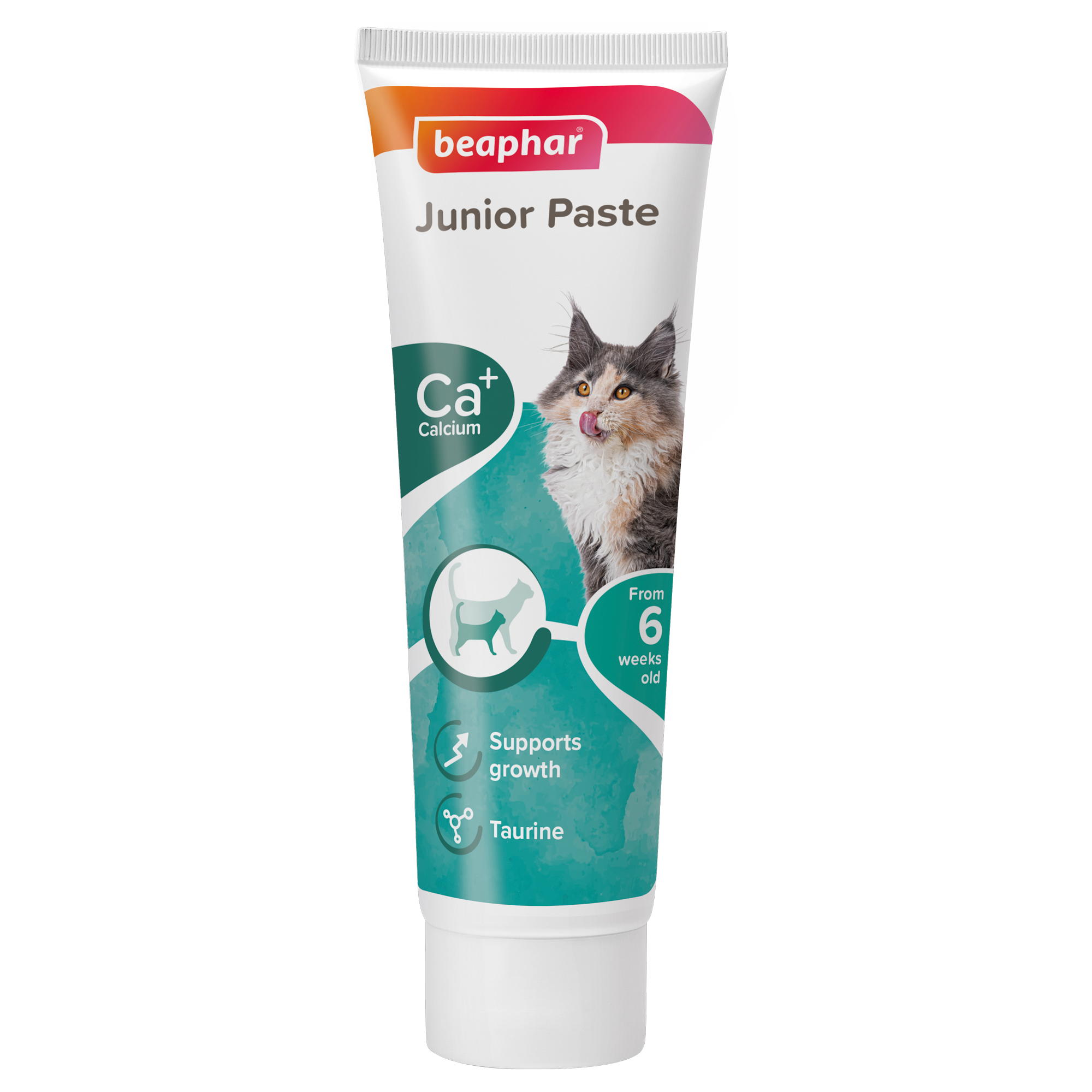 Junior Paste for Cats 100 g