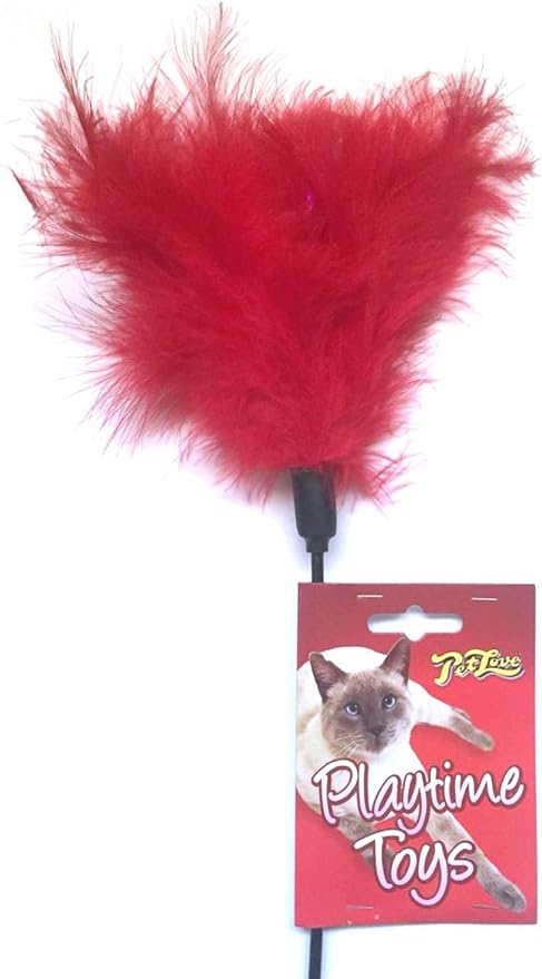 Kat Tikkler Feather with Ribbon - Assorted Colours