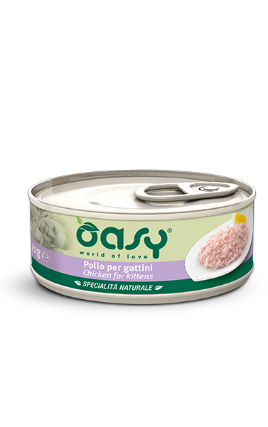 Oasy Cat Wet Food - Chicken for Kittens 70g - Oasy - Kuwait