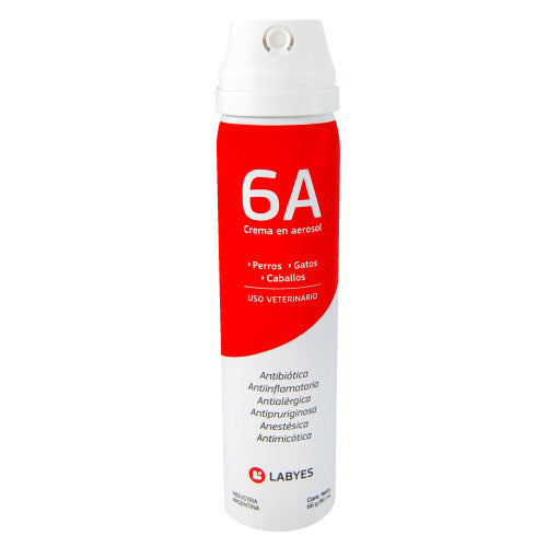 6A Aerosol Spray 80ml - 6A - Kuwait