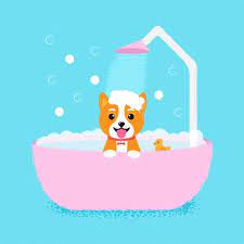 Basic Grooming - Small Dog - Healthy Paws kw - Kuwait
