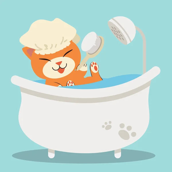 Full Grooming - Cat - Healthy Paws kw - Kuwait