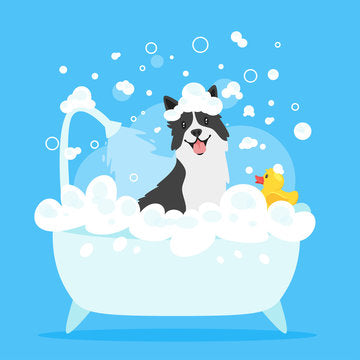 Full Grooming - Large Dog - Healthy Paws kw - Kuwait