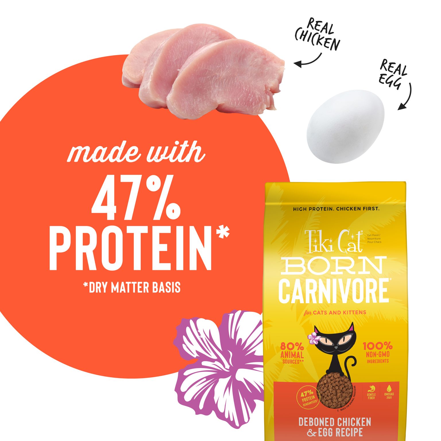 TikiCat Born Carnivore Deboned Chicken and Egg BAKED Cat and Kitten Dry Food - 1.25 kg - TikiCat - Kuwait