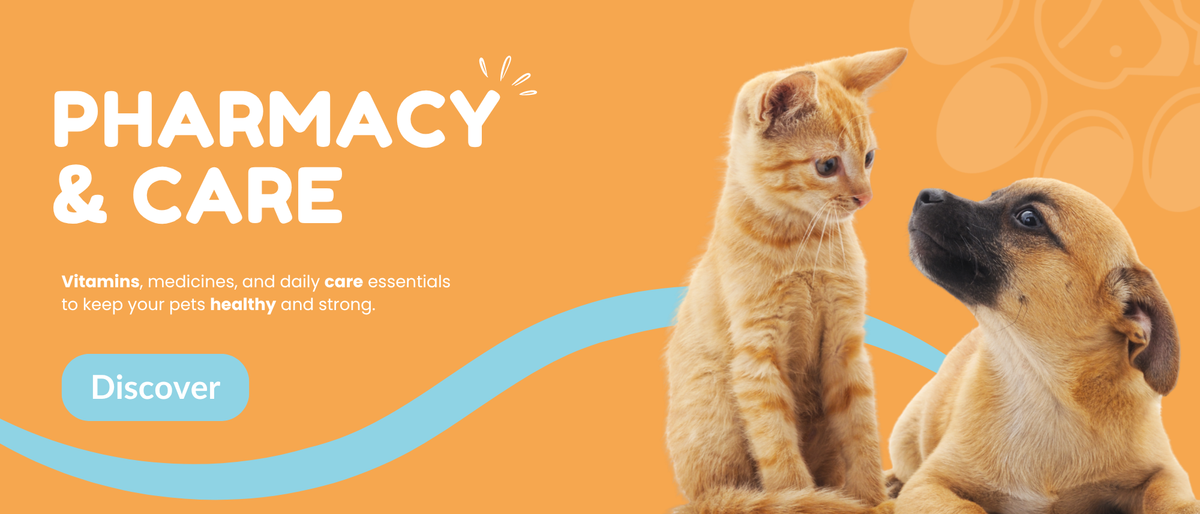 Healthy Paws banner 2