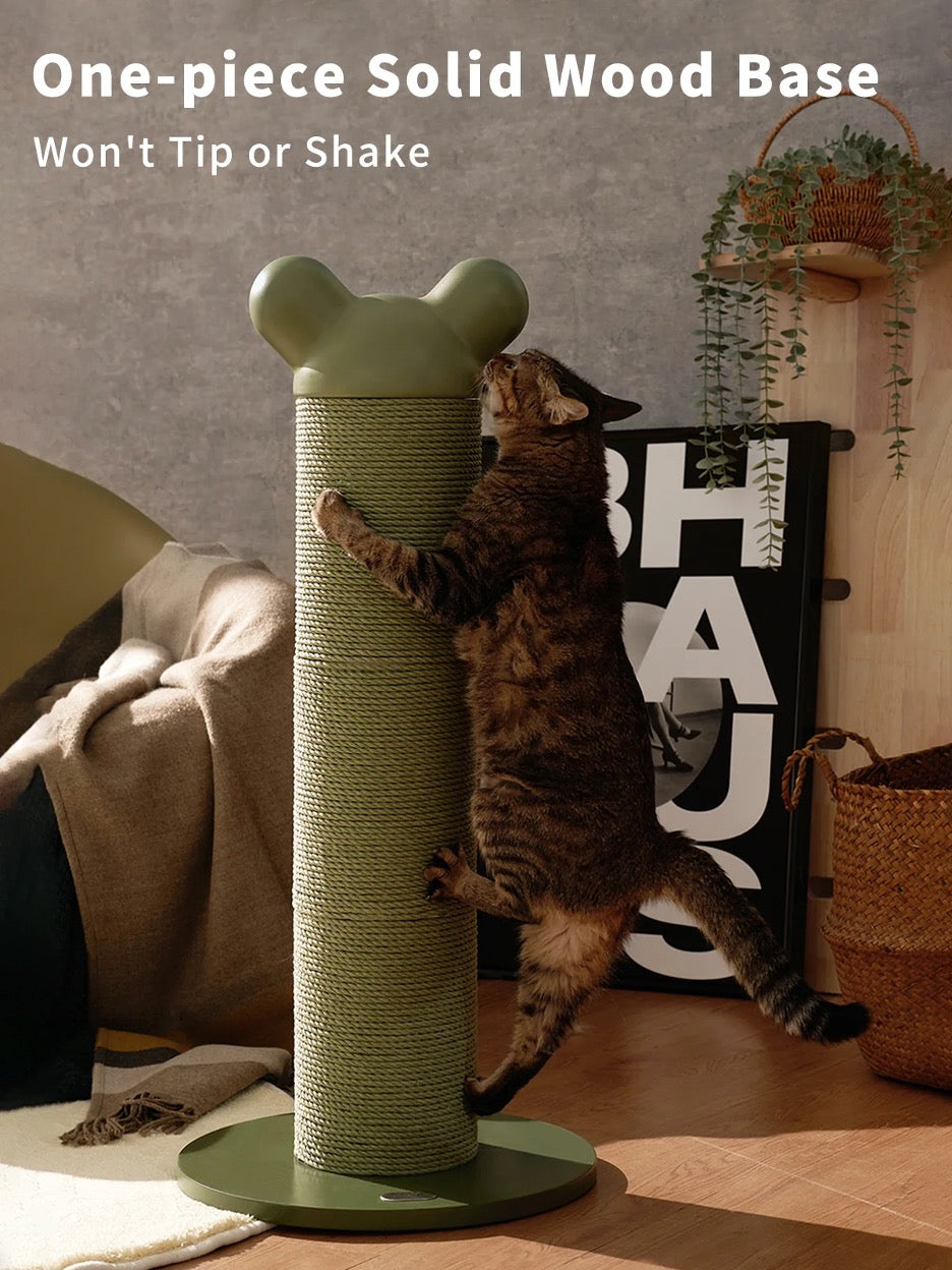 Nino Cat Scratcher - Green - Nino - Kuwait