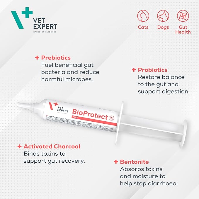 Vetexpert Bioprotect Paste for Dogs & Cats With Digestive Microflora Tube 15ml