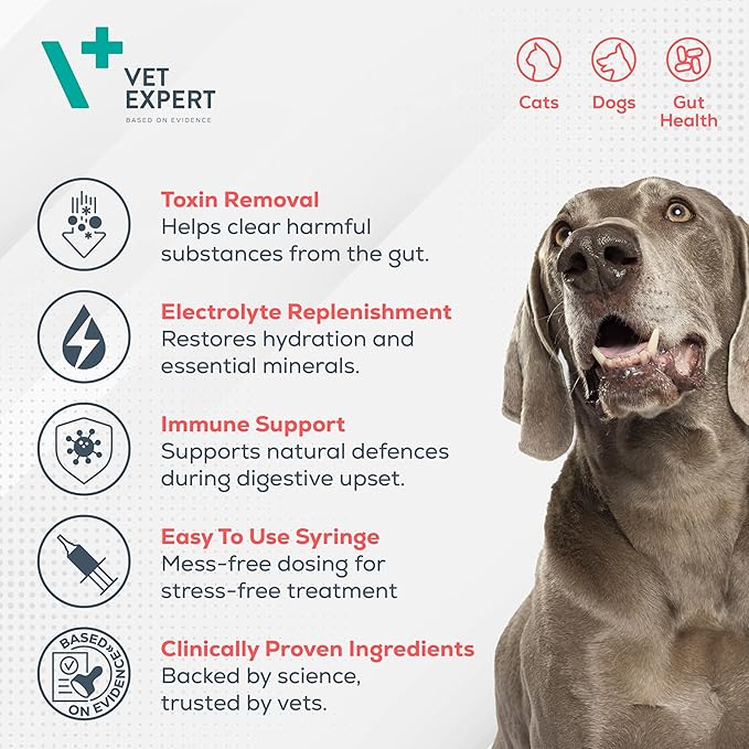 Vetexpert Bioprotect Paste for Dogs & Cats With Digestive Microflora Tube 15ml