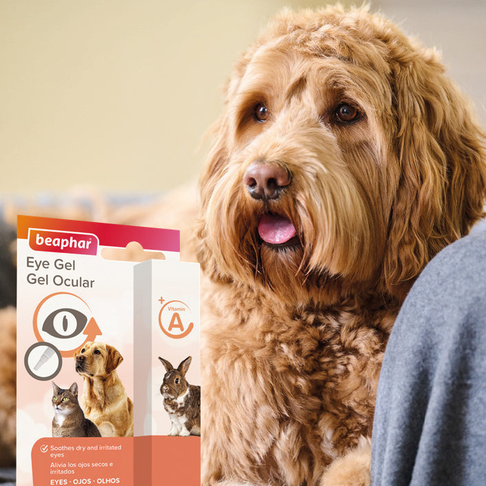 Eye Gel for Dogs and Cats (Vit.A) 5 ml