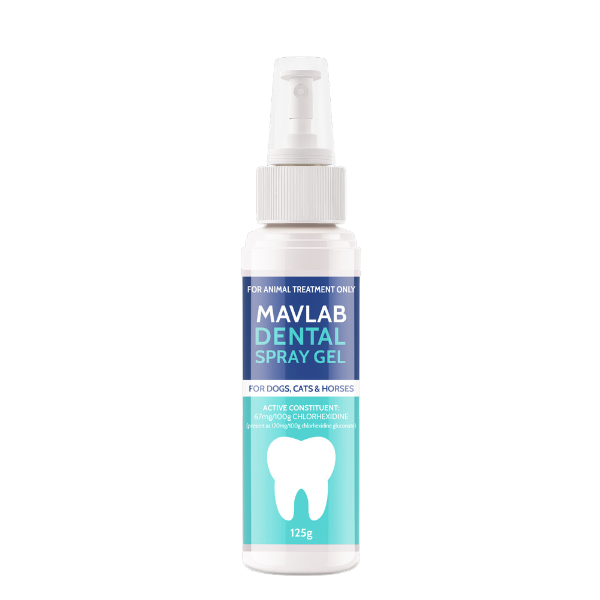 Dental Spray Gel Dogs And Cats - Dental - Kuwait
