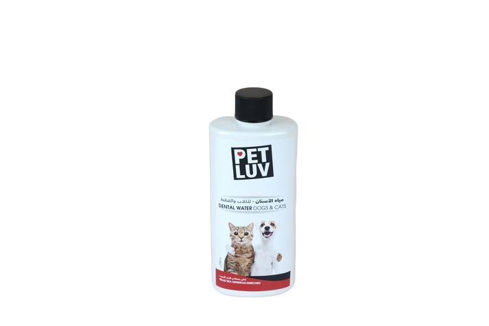 DENTAL WATER DOGS & CATS - DENTAL - Kuwait