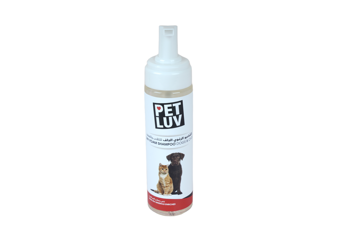 DRY FOAM SHAMPOO DOGS & CATS 250ml - DRY - Kuwait
