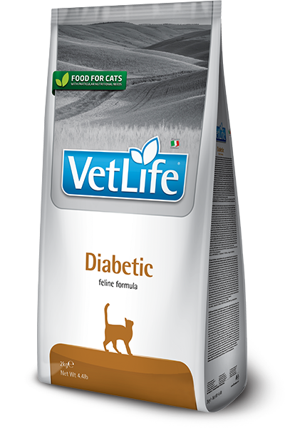 DIABETIC FELINE 2Kg - DIABETIC - Kuwait