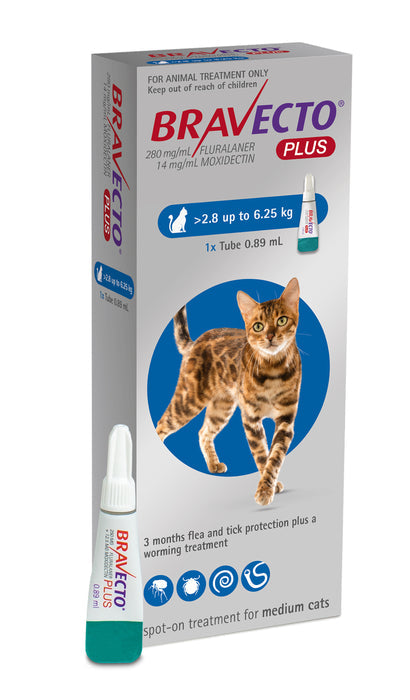 Bravecto Plus Spot-On For Cats 3 Months Protection - Bravecto - Kuwait