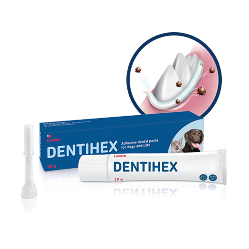 DENTIHEX - DENTIHEX - Kuwait