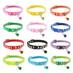 Colorful Collar - Colorful - Kuwait