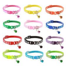 Colorful Collar - Colorful - Kuwait