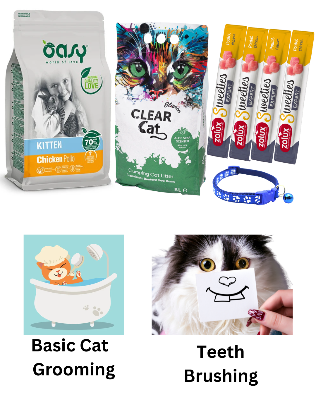 Kitten Essentials Package
