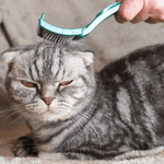 Full Grooming - Cat