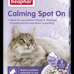 Calming Spot on Cat