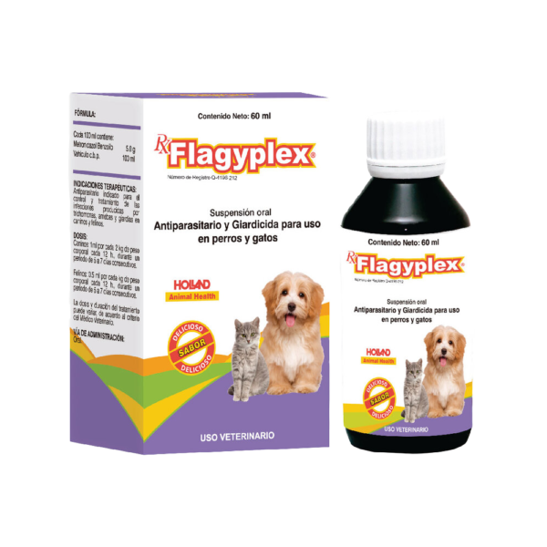 FLAGYPLEX SUSPENSION 60 ML