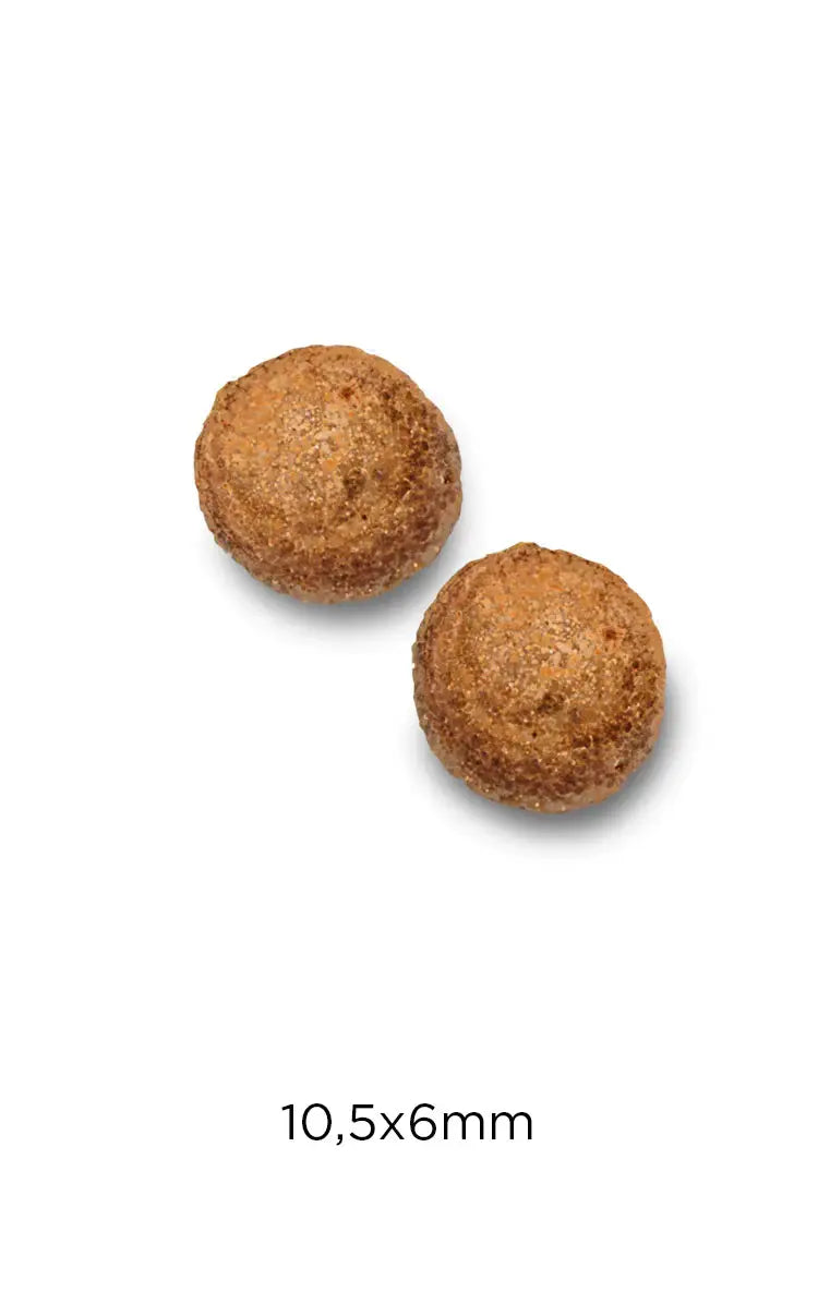 OptimaNova Adult Hairball Chicken & Rice Cat 2Kg