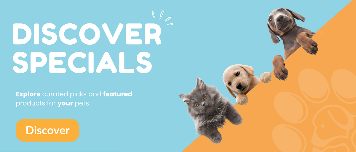 Healthy Paws banner 1