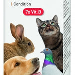 Vitamin B Complex 50 ml