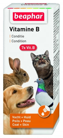 Vitamin B Complex 50 ml