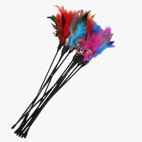 Cat Stick Toy with Feather & Bell