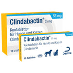 كليندابكتين® 55 مجم