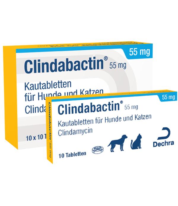 CLINDABACTIN® 55 mg