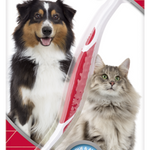 Toothbrush