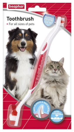 Toothbrush