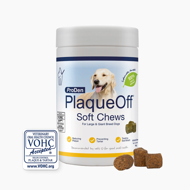 ProDen PlaqueOff Soft Chews for Large and Giant Dog, 60 chews, 180 g